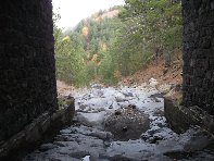 rrente Quarantore-201011107 158